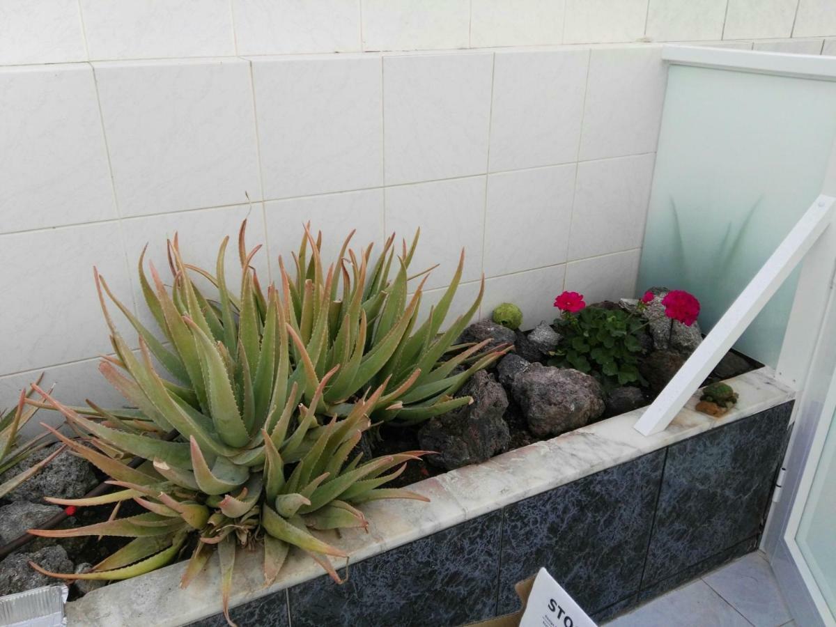 Tenerife Pearl Apartment Playa de las Americas  Exterior photo